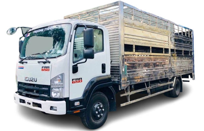 icon isuzu FRR90NE4 6.5 Tấn Chở gia súc